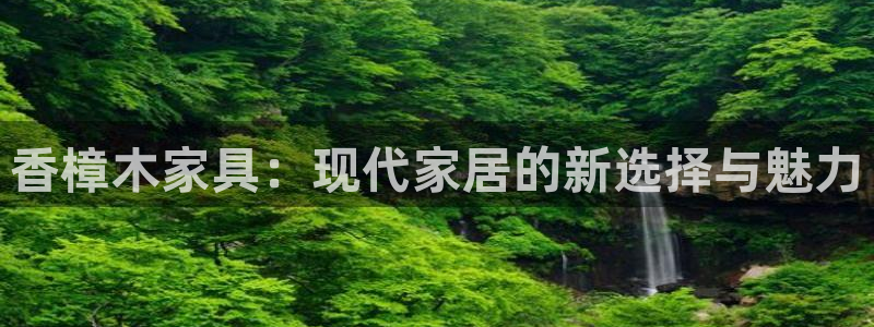 球盟会黑钱