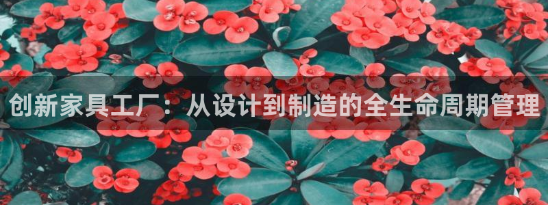 球盟会qmh网页版登录 - qm球盟会官方网站