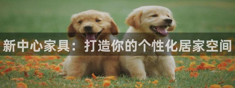 球盟会APP官网