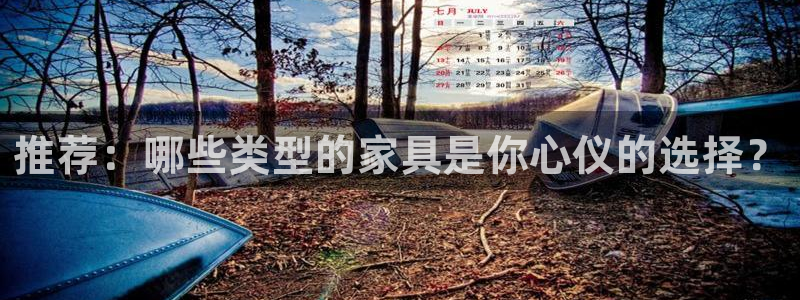 球盟会官方
