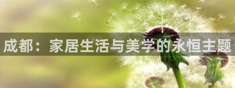 球盟会国际官网
