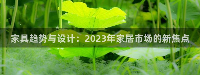 球盟会可以提现么是真的吗