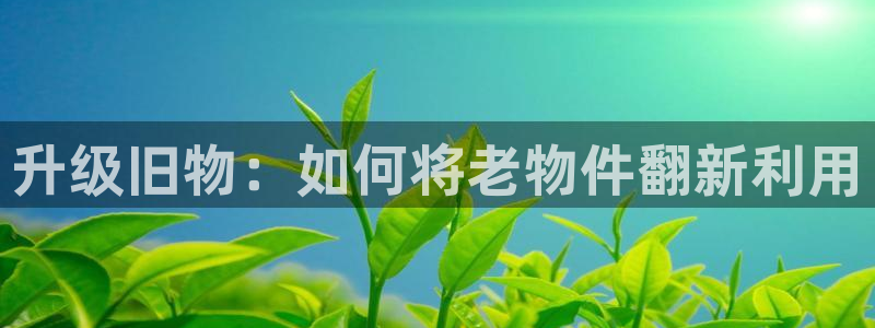球盟会官方网站app