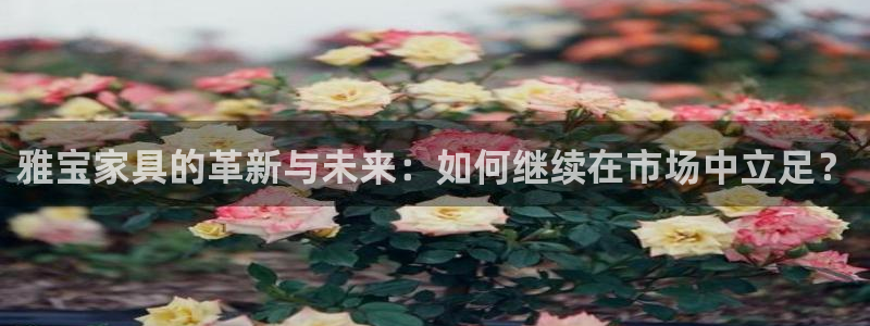 球盟会网页登录