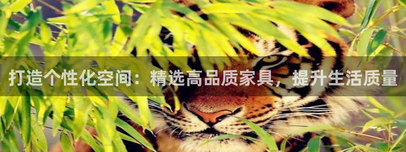 球盟会黑款吗还是白款