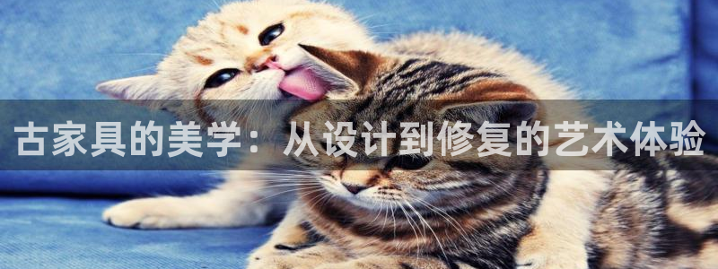 球盟会可靠不