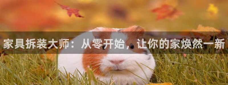 球盟会官方最新入口