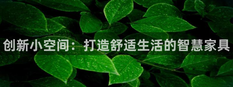 球盟会qm