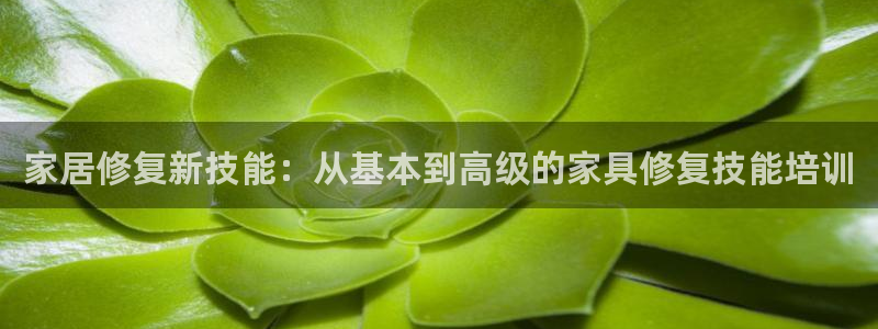 球盟会体验金球奖吗