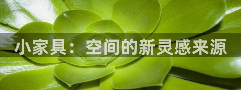 球盟会吧