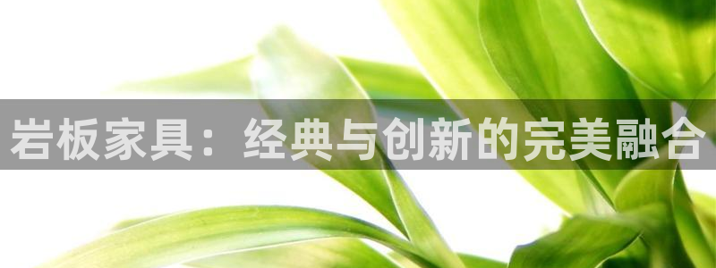 球盟会最新