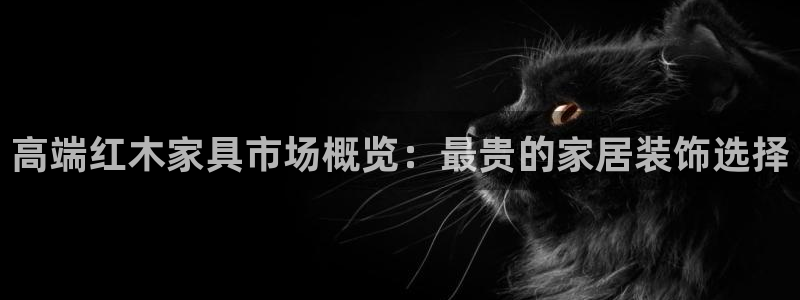 球盟会官方网站