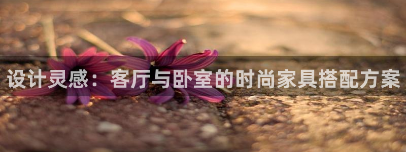 球盟会黑款吗还是白款