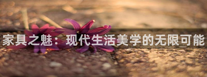 球盟会app安装：家具之魅：现代生活美学的无限可能