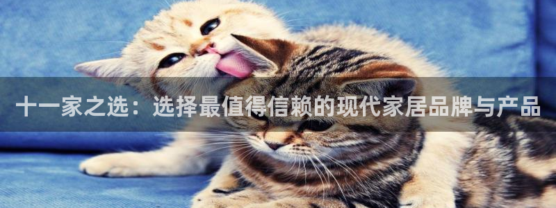 球盟会黑款吗