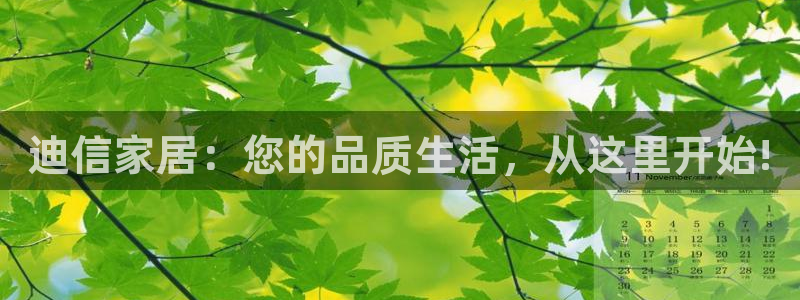 球盟会黑钱