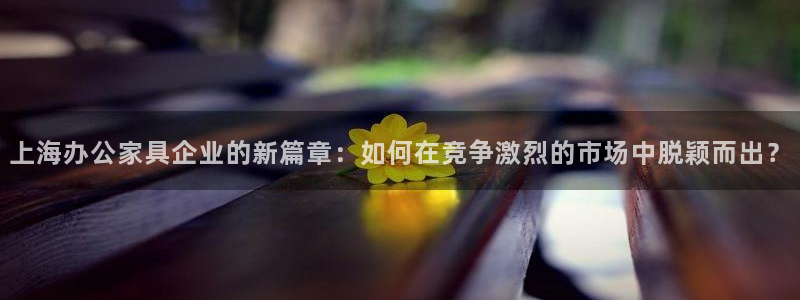 球盟会能提现吗安全吗