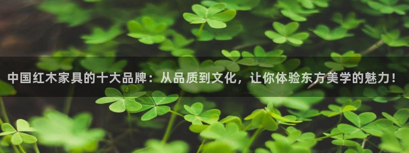 球盟会可以提现么现在