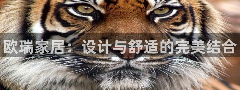 球盟会提款支付宝怎么样