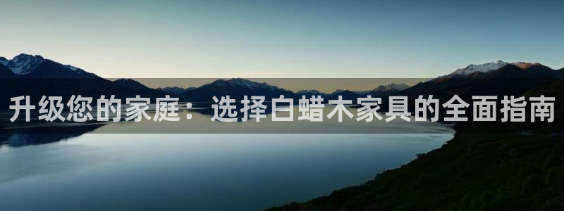 球盟会入口