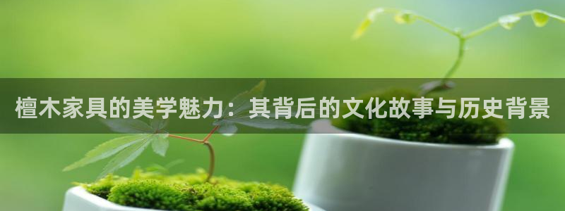 球盟会电子