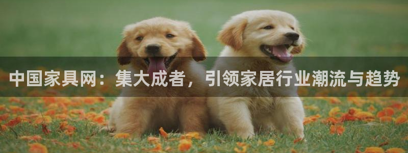球盟会官方最新入口