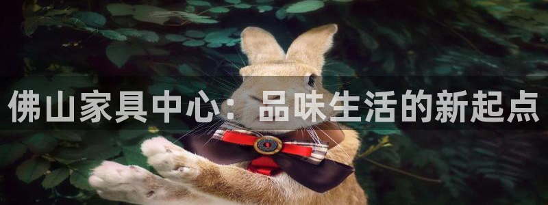 球盟会能提现吗