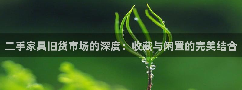 球盟会手机网页版