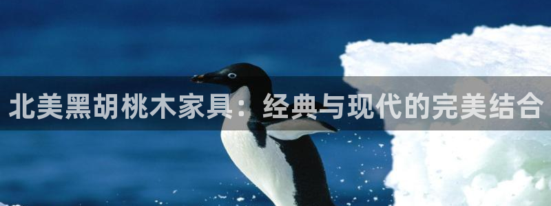 球盟会黑