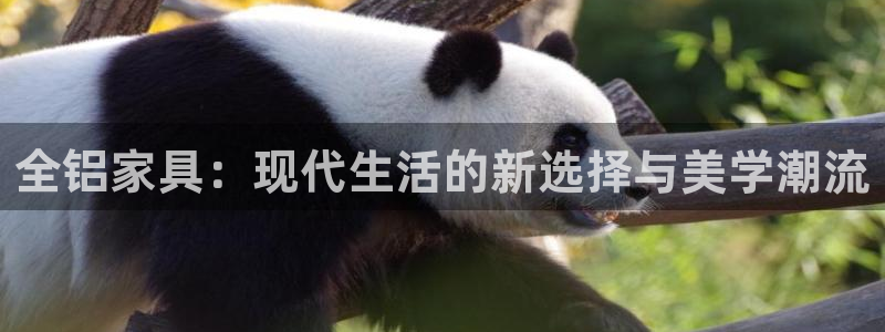 球盟会在线官网