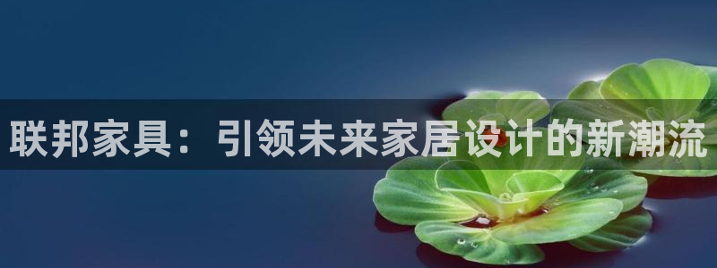 球盟会黑款吗知乎
