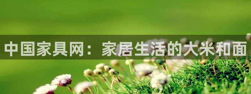 球盟会里面有打牌的嘛