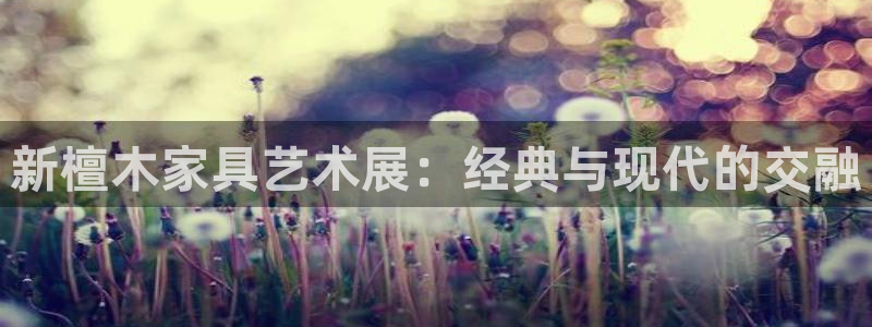 球盟会手机网页版