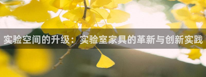 球盟会官方登录平台