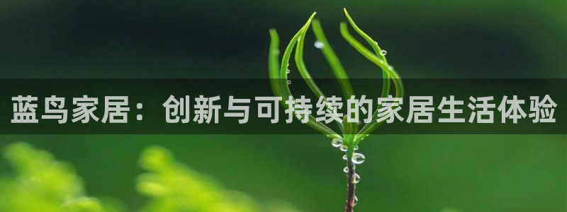 球盟会网页登录