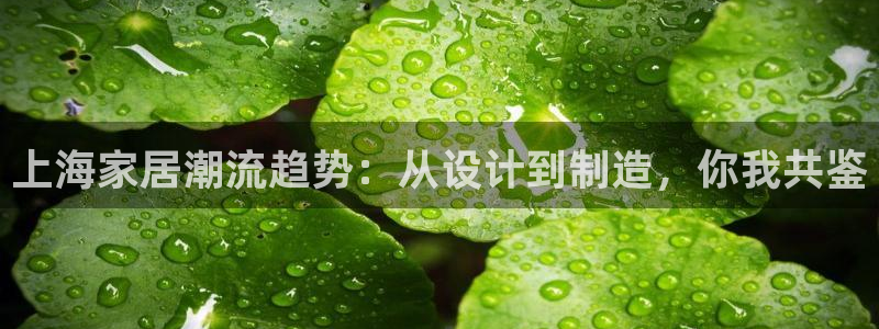 球盟会官网app下载