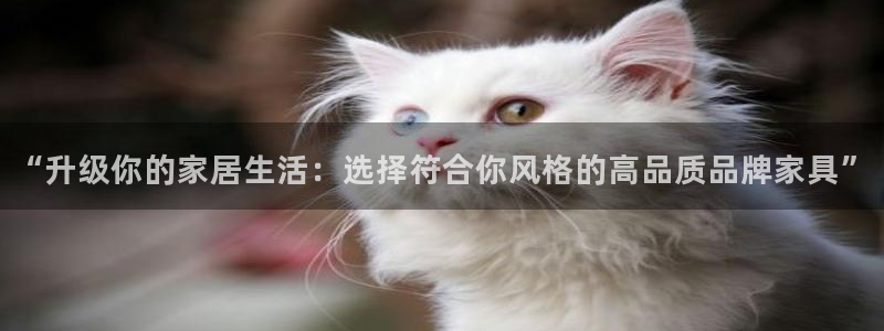 球盟会官方网址入口