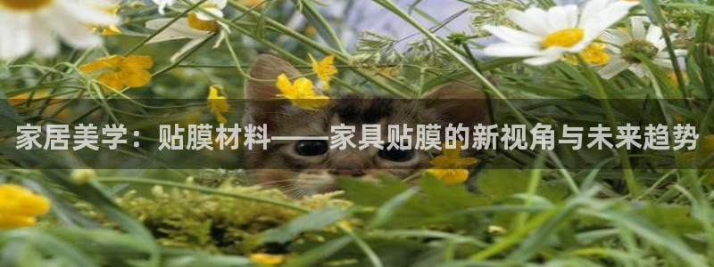 球盟会能退钱吗