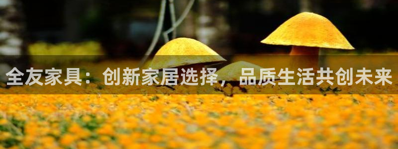 球盟会app最新地址下载安装