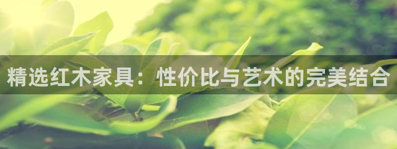 球盟会App