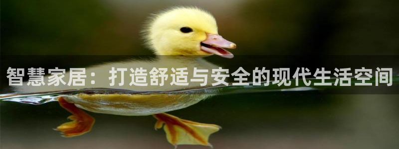 球盟会qm9