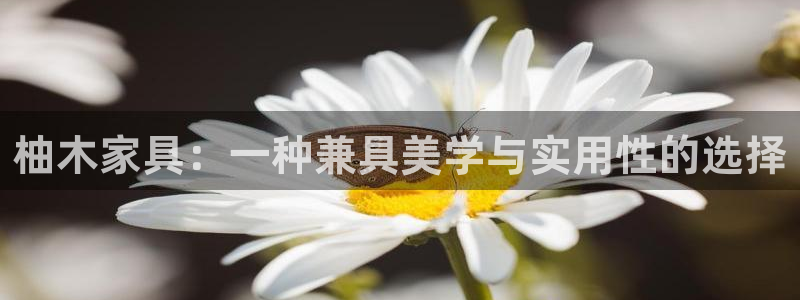 球盟会app最新地址下载安装