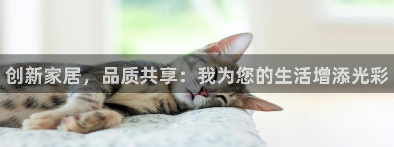 球盟会有没有黑单的：创新家居，品质共享：我为您的生活增添光彩