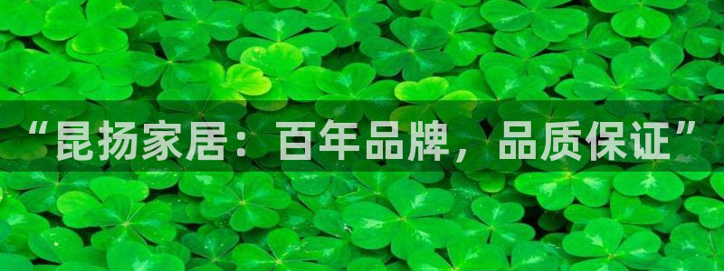 球盟会可靠不