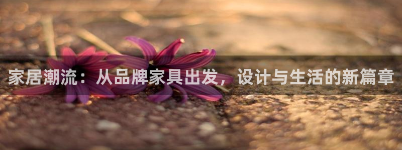 球盟会最新地址备用