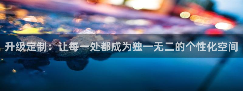 球盟会电子