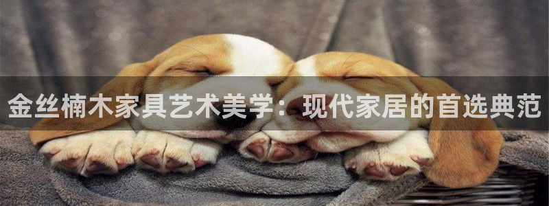 球盟会黑