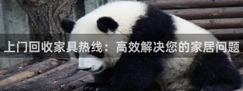 球盟会网址qm9 - 球盟会qmh网页版登录