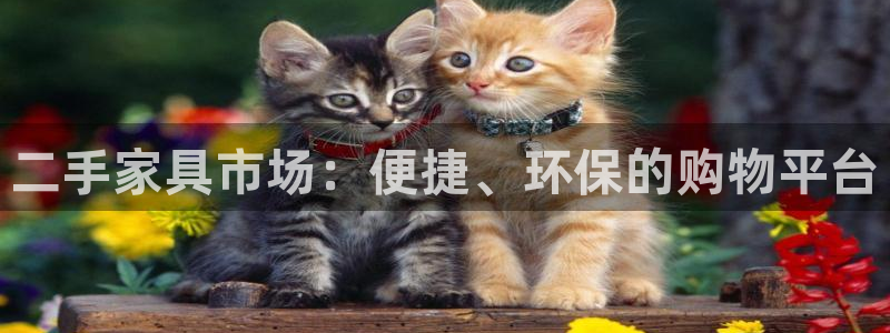 球盟会网页登录入口