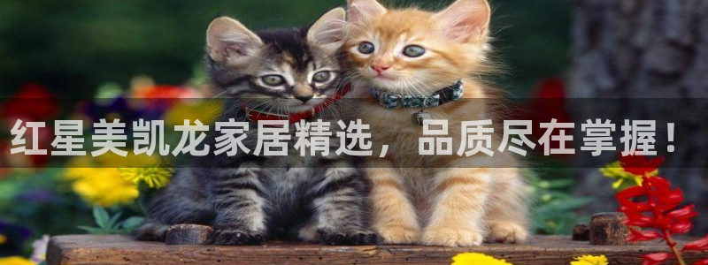 球盟会qmh：红星美凯龙家居精选，品质尽在掌握！